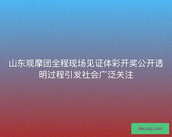山东观摩团全程现场见证体彩开奖公开透明过程引发社会广泛关注
